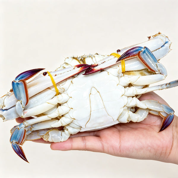 Wild-Caught Swimming Crab, Hand-Selected Frozen